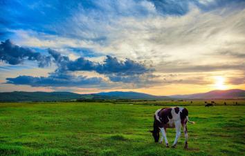 西安出发内蒙呼伦贝尔8日落地自驾：兴安林海-地质温泉-莫日格勒河-满洲里8日自驾游-游推荐