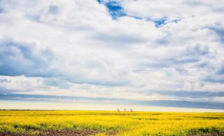 成都出發(fā)甘肅青海8日自駕游：若爾蓋大草原-茶卡鹽湖-青海湖-沙坡頭8日暢玩西北環(huán)線自駕游自駕游