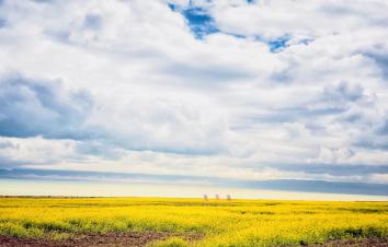 成都出发甘肃青海8日自驾游：若尔盖大草原-茶卡盐湖-青海湖-沙坡头8日畅玩西北环线自驾游-游推荐