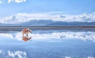 北京出發(fā)青海10自駕游：門源油菜花-青海湖-茶卡鹽湖-卓爾山10日自駕自駕游