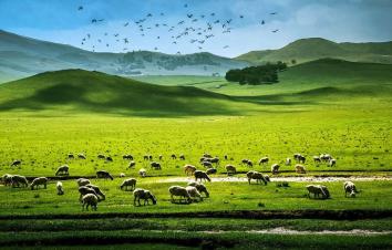 山东出发内蒙古6日自驾游：二连浩特-辉腾锡勒大草原-察哈尔火山群-库布奇沙漠6日神秘探险之旅-游推荐