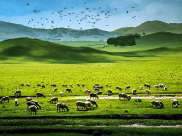 山东出发内蒙古6日自驾游：二连浩特-辉腾锡勒大草原-察哈尔火山群-库布奇沙漠6日神秘探险之旅