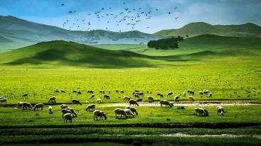 山东出发内蒙古6日自驾游：二连浩特-辉腾锡勒大草原-察哈尔火山群-库布奇沙漠6日神秘探险之旅-推荐