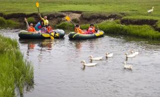 北京出發(fā)錫林郭勒3日自駕游：金蓮川賞花節(jié)-千里草原風(fēng)景大道-草原水鄉(xiāng)3日草原自駕游自駕游