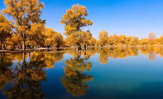 成都出發(fā)甘肅內(nèi)蒙8日自駕游：額濟納旗胡楊林-居延海日出-張掖丹霞8日自駕游自駕游