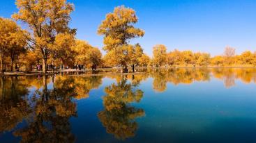 成都出发甘肃内蒙8日自驾游：额济纳旗胡杨林-居延海日出-张掖丹霞8日自驾游-推荐