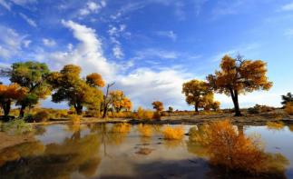 北京出发额济纳旗8日自驾游：胡杨林-居延海-黑水城、西夏王陵8日自驾自驾游