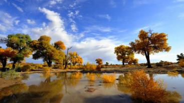 北京出发额济纳旗8日自驾游：胡杨林-居延海-黑水城、西夏王陵8日自驾-推荐