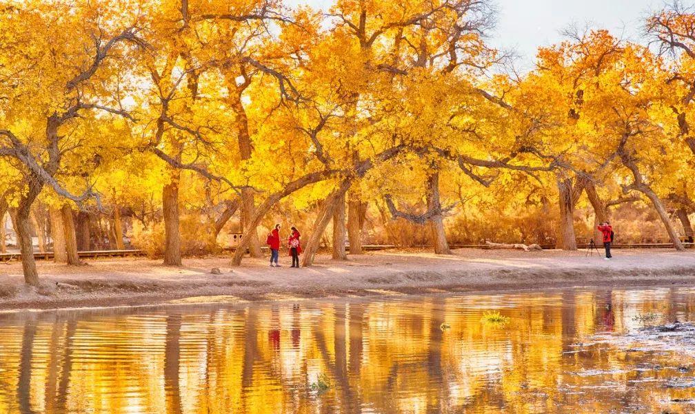 山东出发西北12日自驾游：秘境丝绸路-水上雅丹-青海湖-茶卡盐湖-胡杨林独家策划12日游自驾游