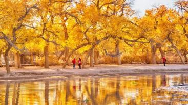 山东出发西北12日自驾游：秘境丝绸路-水上雅丹-青海湖-茶卡盐湖-胡杨林独家策划12日游-推荐