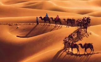 山東出發(fā)額濟(jì)納7日游：額濟(jì)納胡楊林-黑城怪樹林-巴丹吉林-張掖丹霞-沙坡頭色誘金秋雙胡楊之旅自駕游