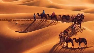 山东出发额济纳7日游：额济纳胡杨林-黑城怪树林-巴丹吉林-张掖丹霞-沙坡头色诱金秋双胡杨之旅-推荐