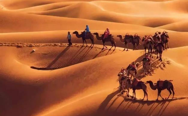 山东出发额济纳7日游：额济纳胡杨林-黑城怪树林-巴丹吉林-张掖丹霞-沙坡头色诱金秋双胡杨之旅