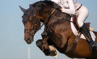 山东出发河北3日游：草原天路-民族文化演出-观马术表演3日草原自驾游自驾游