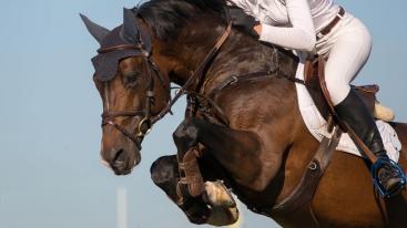 山东出发河北3日游：草原天路-民族文化演出-观马术表演3日草原自驾游-推荐