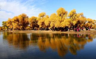 成都出發(fā)內(nèi)蒙古甘肅8日游：額濟納期胡楊麗、七彩丹霞、西安8日自駕游自駕游