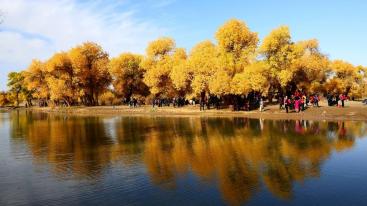 成都出发内蒙古甘肃8日游：额济纳期胡杨丽、七彩丹霞、西安8日自驾游-推荐