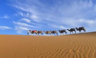 成都出發(fā)寧夏中衛(wèi)6日自駕游：黃河宮-沙坡頭-南泥灣-壺口瀑布6日自駕游自駕游