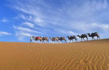 成都出发宁夏中卫6日自驾游：黄河宫-沙坡头-南泥湾-壶口瀑布6日自驾游-游推荐