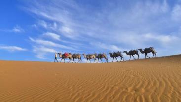 成都出发宁夏中卫6日自驾游：黄河宫-沙坡头-南泥湾-壶口瀑布6日自驾游-推荐