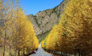 成都出发西北甘南6日自驾游：坎布拉地质公园-青海湖-祁连山-金秋彩林6日畅玩自驾游自驾游