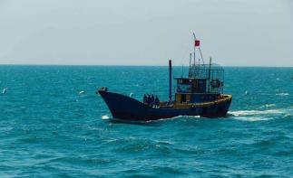 山東出發(fā)河北滄州2日游：0317火鍋雞-南大港濕地-黃驊打魚(yú)舌尖上的誘惑休閑2日自駕游自駕游