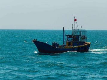 山东出发河北沧州2日游：0317火锅鸡-南大港湿地-黄骅打鱼舌尖上的诱惑休闲2日自驾游