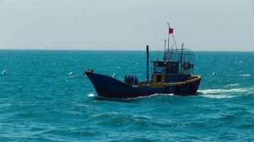 山东出发河北沧州2日游：0317火锅鸡-南大港湿地-黄骅打鱼舌尖上的诱惑休闲2日自驾游-推荐