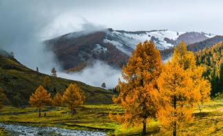 乌鲁木齐出发北疆8日落地自驾游：喀纳斯-禾木村-可可托海-五彩滩 八日自驾游自驾游