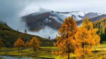 乌鲁木齐出发北疆8日落地自驾游：喀纳斯-禾木村-可可托海-五彩滩 八日自驾游-推荐