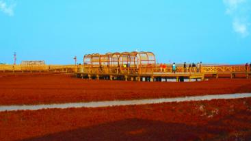 北京出发辽宁4日自驾游：笔架山-红海滩4日自驾游-推荐