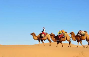 重庆到鄂尔多斯7日自驾游：达拉特旗-康巴什-苏泊罕大草原7日西北风土人情自驾游-游推荐