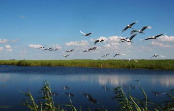 北京周边3日自驾游：河间府署-南大港湿地-周窝音乐小镇3日河北自驾游-游推荐