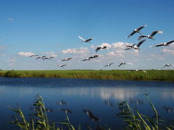 北京周邊3日自駕游：河間府署-南大港濕地-周窩音樂小鎮(zhèn)3日河北自駕游