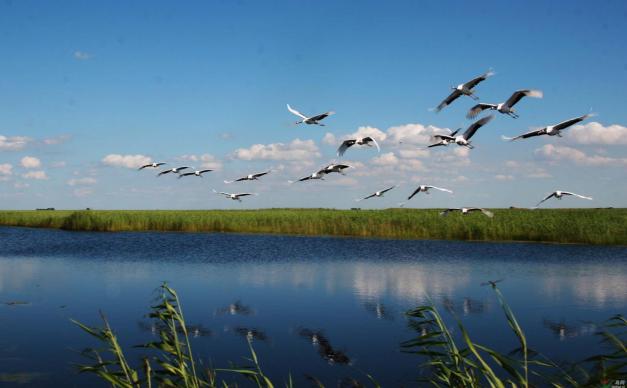 北京周边3日自驾游：河间府署-南大港湿地-周窝音乐小镇3日河北自驾游