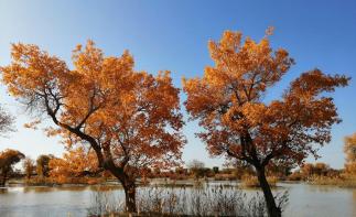 兰州集合西北甘肃阿拉善7日自驾游：金塔胡杨林-额济纳旗-七彩丹霞-嘉峪关-平山湖大峡谷7天自驾游自驾游