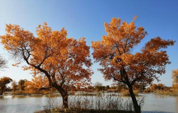 兰州集合西北甘肃阿拉善7日自驾游：金塔胡杨林-额济纳旗-七彩丹霞-嘉峪关-平山湖大峡谷7天自驾游-游推荐