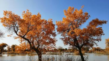 兰州集合西北甘肃阿拉善7日自驾游：金塔胡杨林-额济纳旗-七彩丹霞-嘉峪关-平山湖大峡谷7天自驾游-推荐