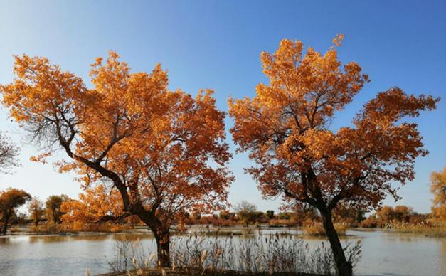 兰州集合西北甘肃阿拉善7日自驾游：金塔胡杨林-额济纳旗-七彩丹霞-嘉峪关-平山湖大峡谷7天自驾游