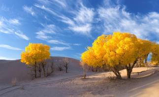 北京出發(fā)內(nèi)蒙額濟納旗8日自駕游：胡楊林-黑水城-波浪谷8日西北自駕游自駕游