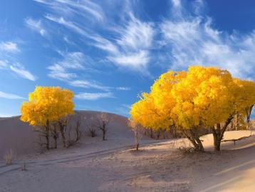 北京出发内蒙额济纳旗8日自驾游：胡杨林-黑水城-波浪谷8日西北自驾游