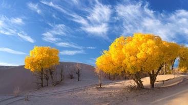 北京出发内蒙额济纳旗8日自驾游：胡杨林-黑水城-波浪谷8日西北自驾游-推荐