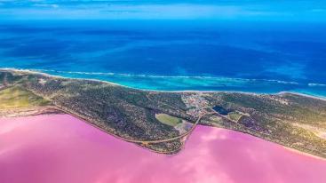 澳大利亚9日落地自驾：天鹅谷-粉红湖-哈梅林湾-卡尔巴里国家公园-鲨鱼湾9日自驾游（含机票）-推荐