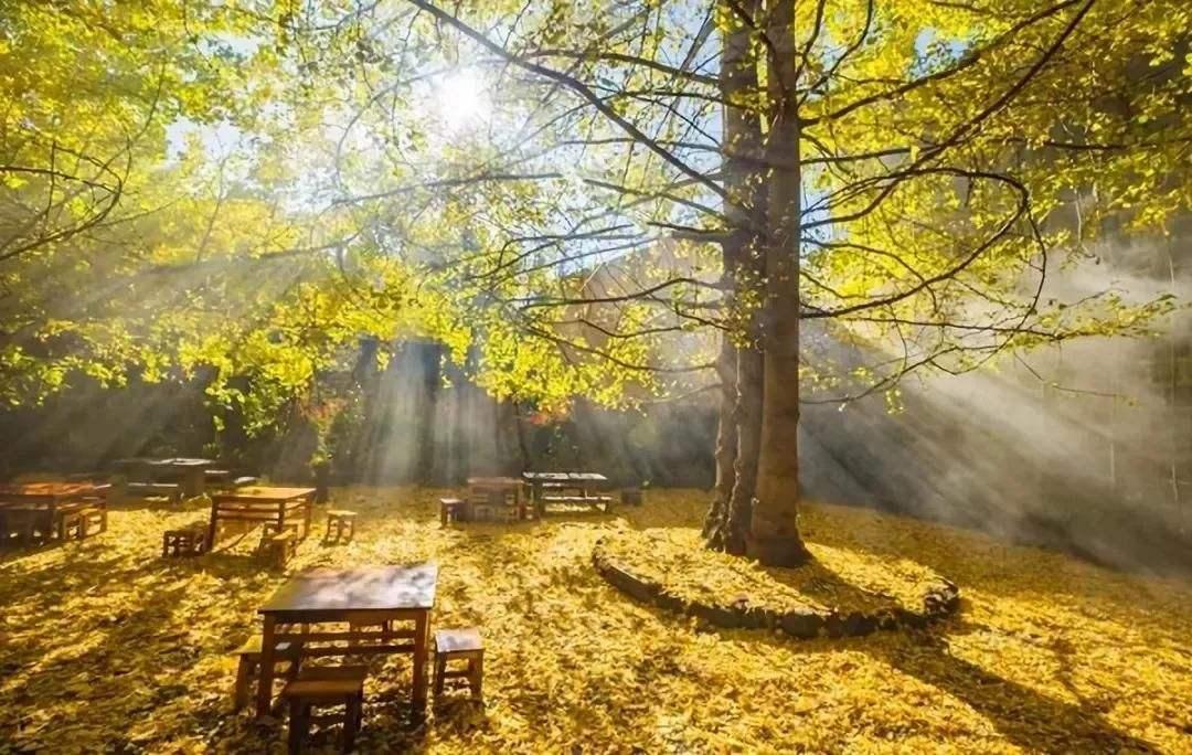 广东出发云南8天落地自驾游：和顺古镇-腾冲-南涧土林-无量山樱花谷8天休闲自驾游自驾游