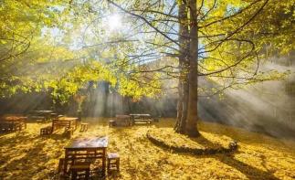 廣東出發(fā)云南8天落地自駕游：和順古鎮(zhèn)-騰沖-南澗土林-無(wú)量山櫻花谷8天休閑自駕游自駕游