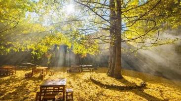 广东出发云南8天落地自驾游：和顺古镇-腾冲-南涧土林-无量山樱花谷8天休闲自驾游-推荐