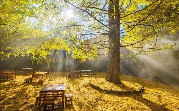 广东出发云南8天落地自驾游：和顺古镇-腾冲-南涧土林-无量山樱花谷8天休闲自驾游