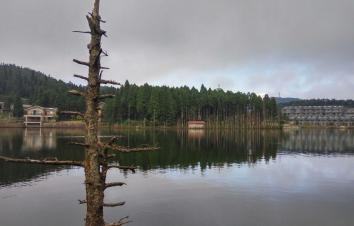 廣東出發(fā)江西5日自駕游：明月山-羊獅幕-新余仙女湖-千年吉州窯5天高品質(zhì)自駕游-游推薦