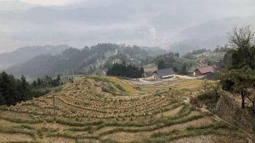 广东出发广西湖南5日自驾游：桂林-通道-会同-洪江-紫鹊界梯田五星少数民族风情自驾游-推荐