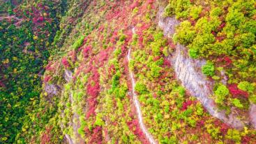长沙出发重庆宜昌4日自驾游：宜昌三峡大坝-巫山小三峡-神女天路红叶4日自驾游-推荐